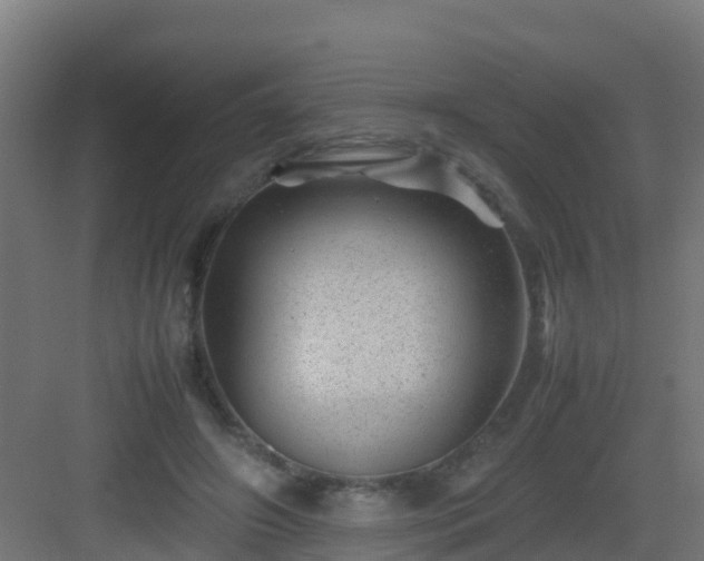 X0000082990498200702081838