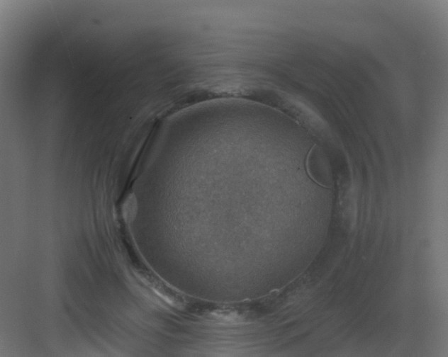 X0000082990502200702081838