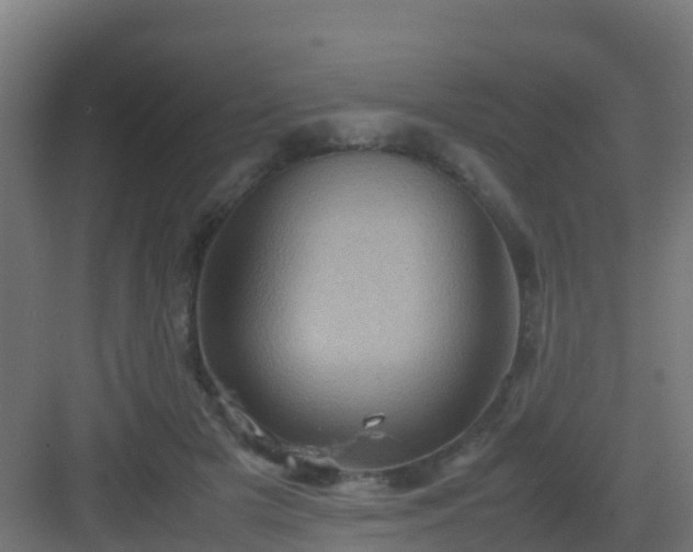 X0000082990505200702081838