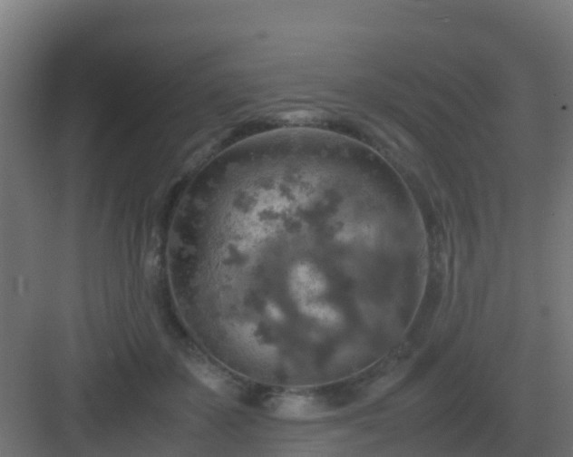 X0000082990507200702081838