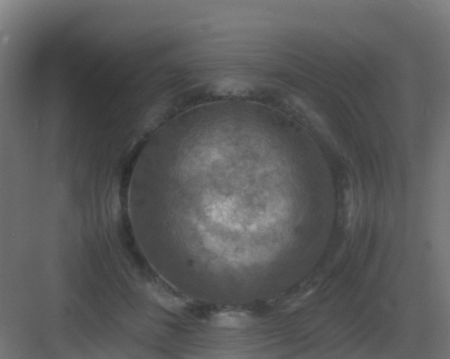 X0000082990508200702081838