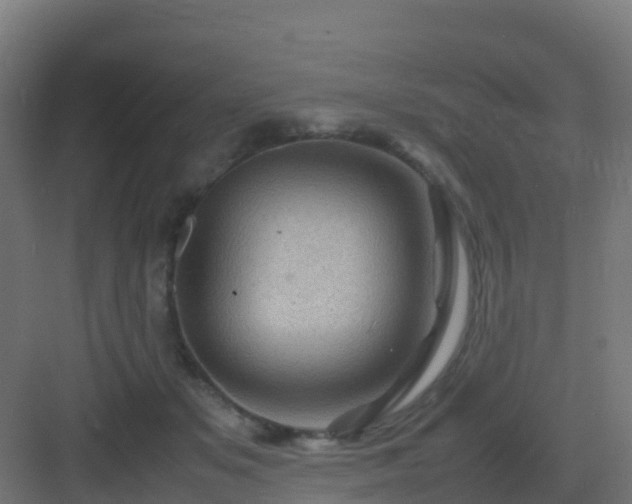 X0000082990509200702081838