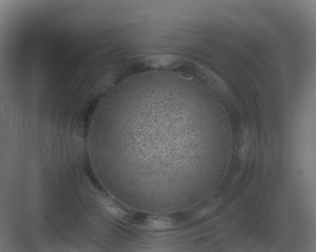 X0000082990510200702081838