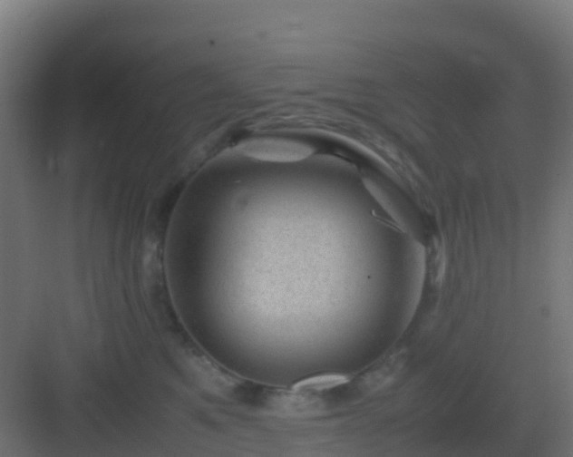 X0000082990521200702081838