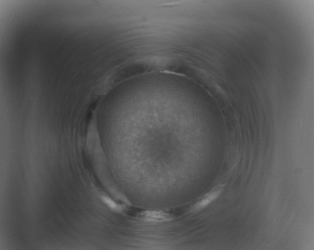 X0000082990528200702081837