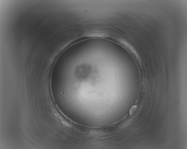 X0000082990529200702081837