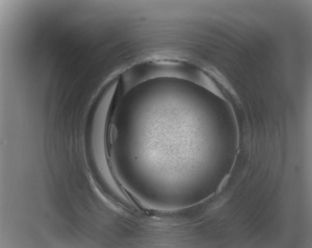 X0000082990530200702081837