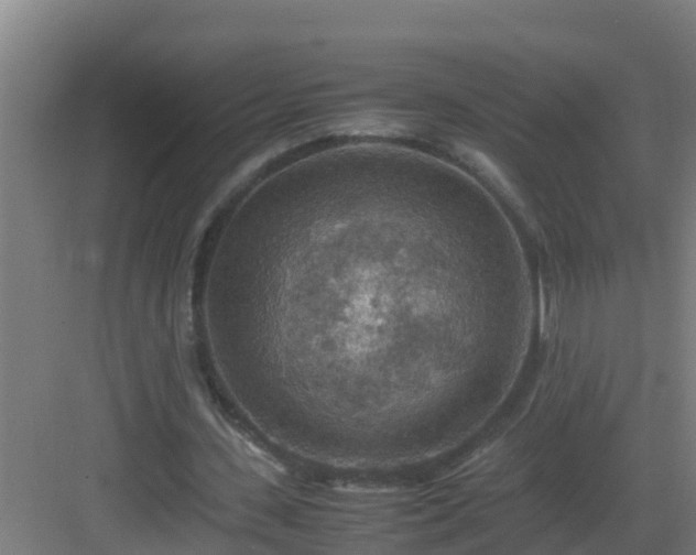 X0000082990531200702081837