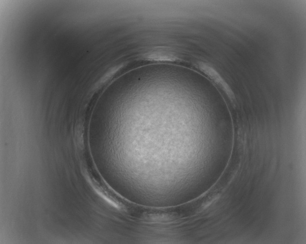 X0000082990533200702081837