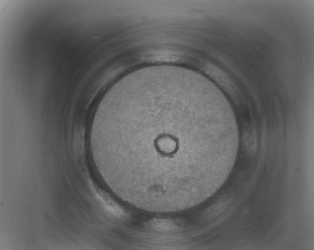 X0000082990534200702081837