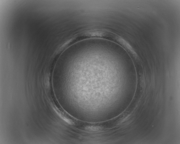 X0000082990537200702081837