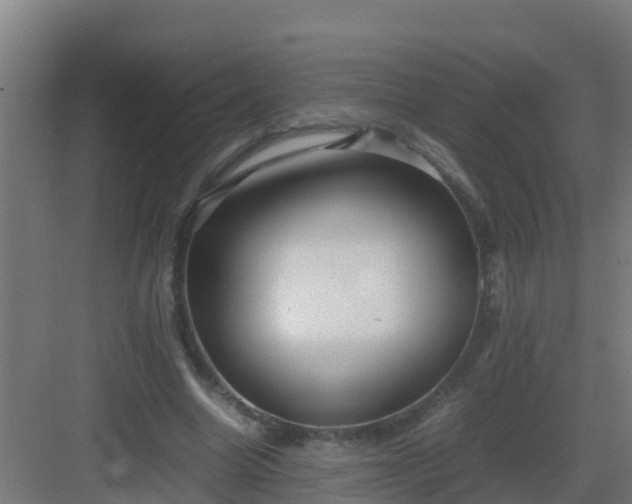 X0000082990538200702081837