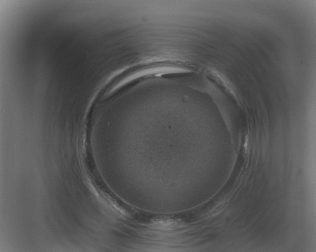 X0000082990540200702081837