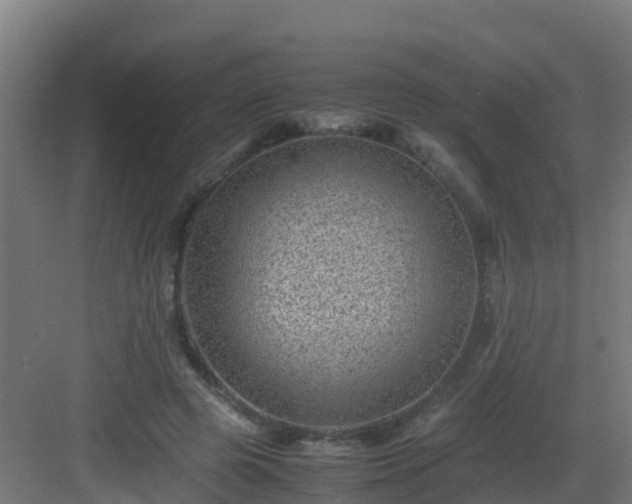 X0000082990545200702081837