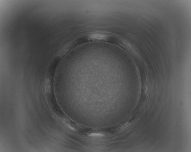 X0000082990551200702081837