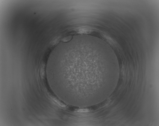 X0000082990554200702081837