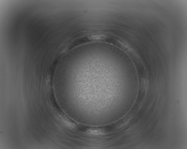 X0000082990557200702081837