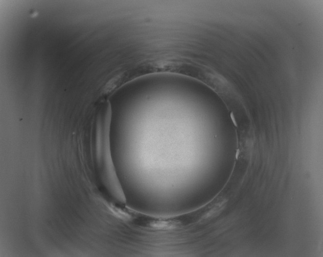 X0000082990558200702081837