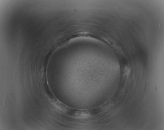 X0000082990559200702081837