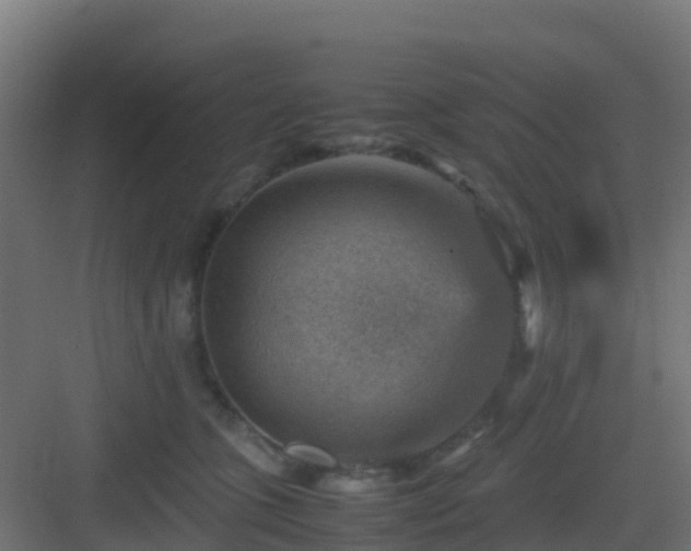 X0000082990563200702081837