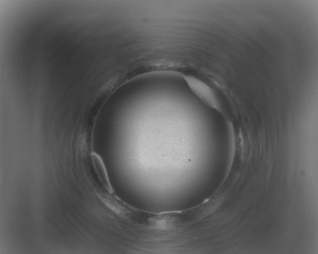 X0000082990564200702081837