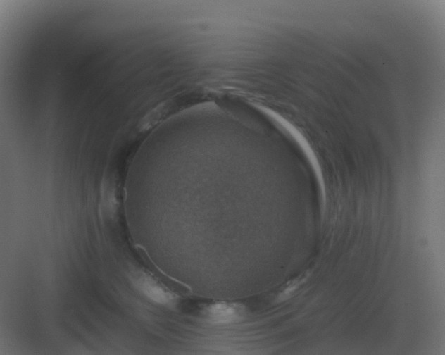 X0000082990566200702081837