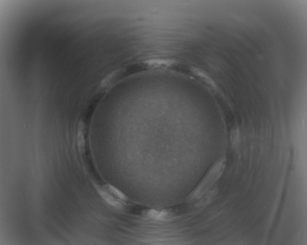 X0000082990570200702081837