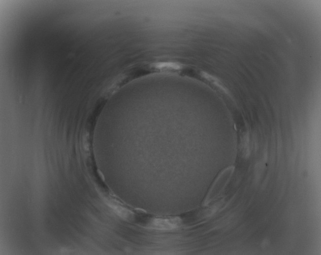 X0000082990571200702081837