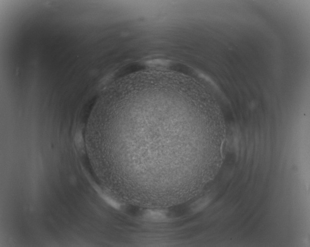 X0000082990573200702081837