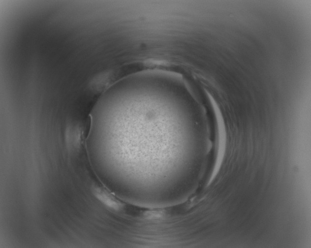 X0000082990574200702081837