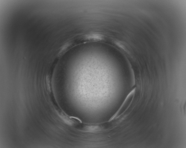 X0000082990575200702081837