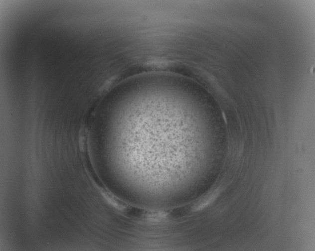 X0000082990576200702081837