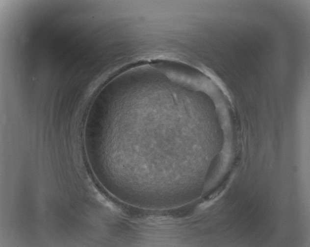 X0000082990577200702081837