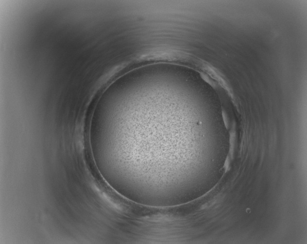 X0000082990578200702081837