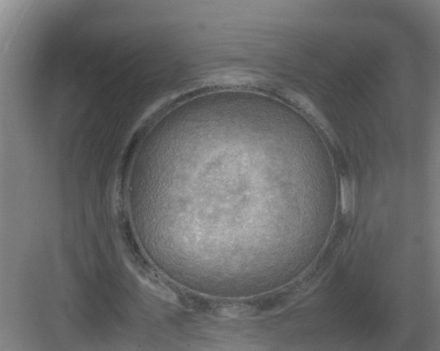 X0000082990579200702081837