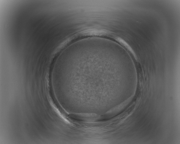 X0000082990581200702081837