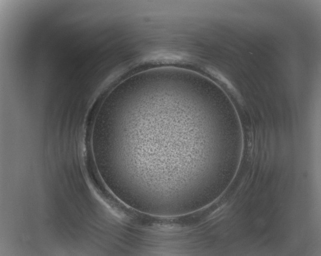 X0000082990582200702081837