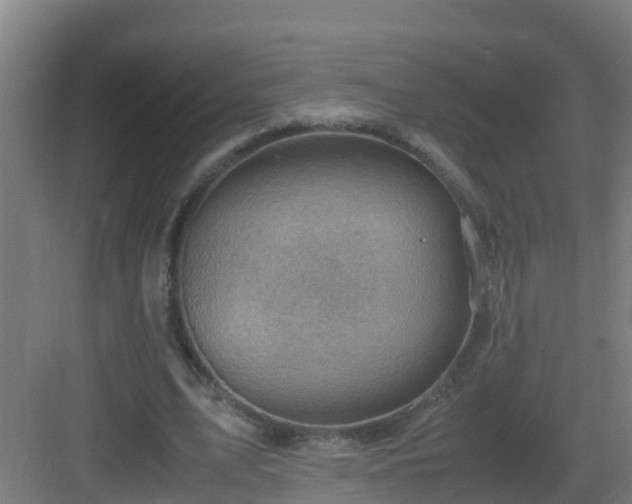 X0000082990583200702081837