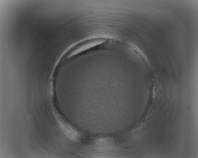 X0000082990584200702081837