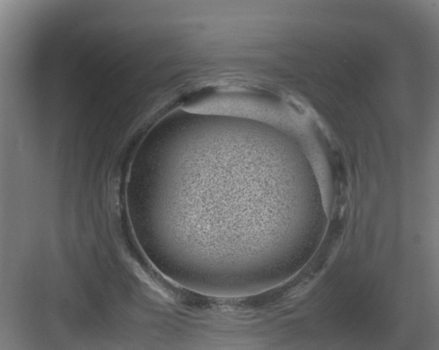 X0000082990585200702081836