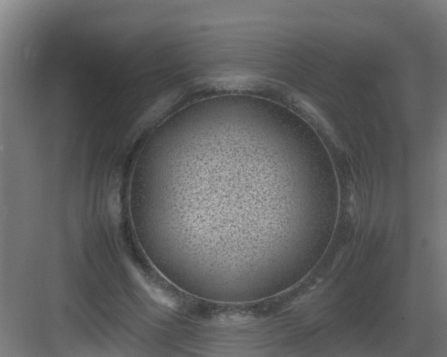 X0000082990586200702081836