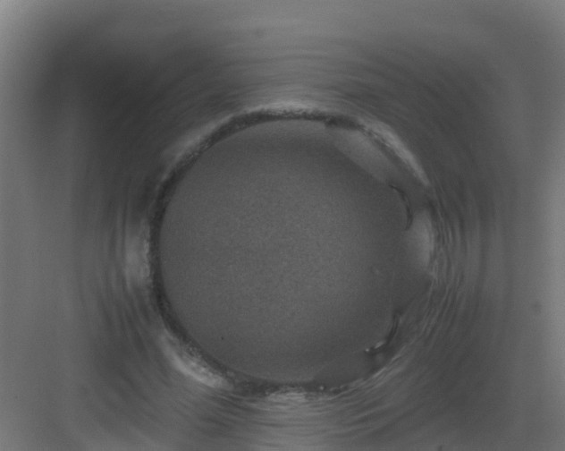 X0000082990588200702081836