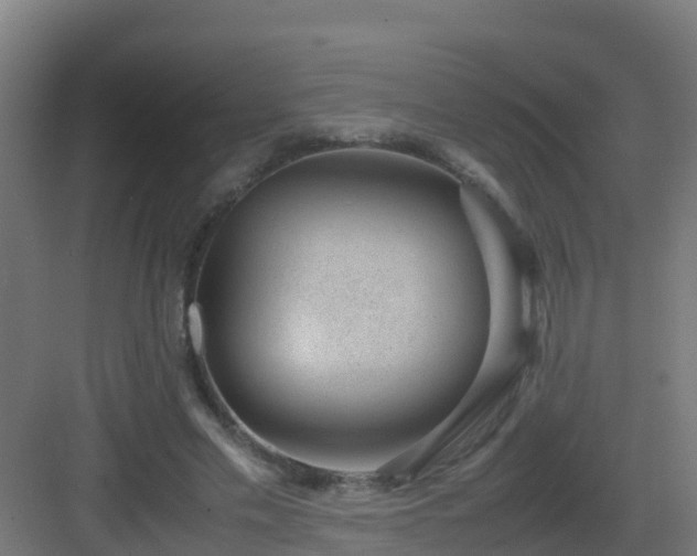 X0000082990589200702081836