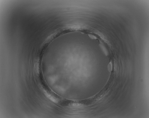 X0000082990590200702081836