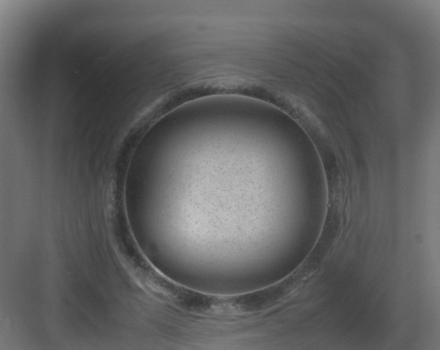 X0000082990591200702081836