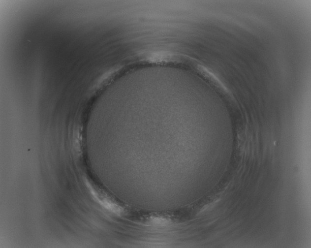 X0000082990592200702081836