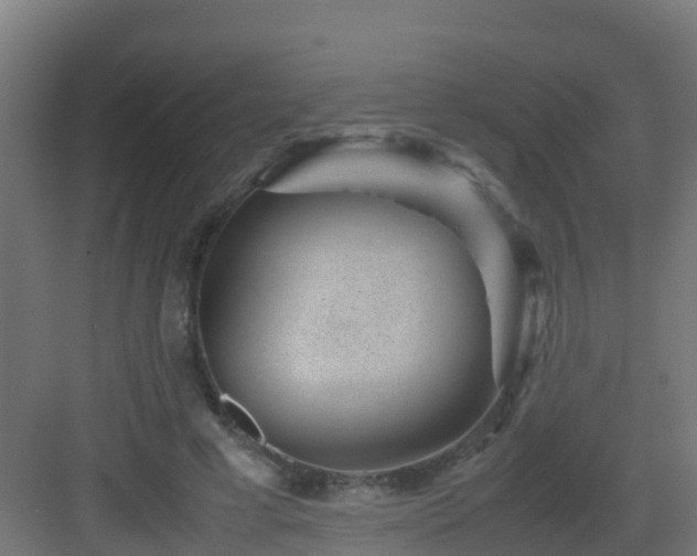 X0000082990593200702081836