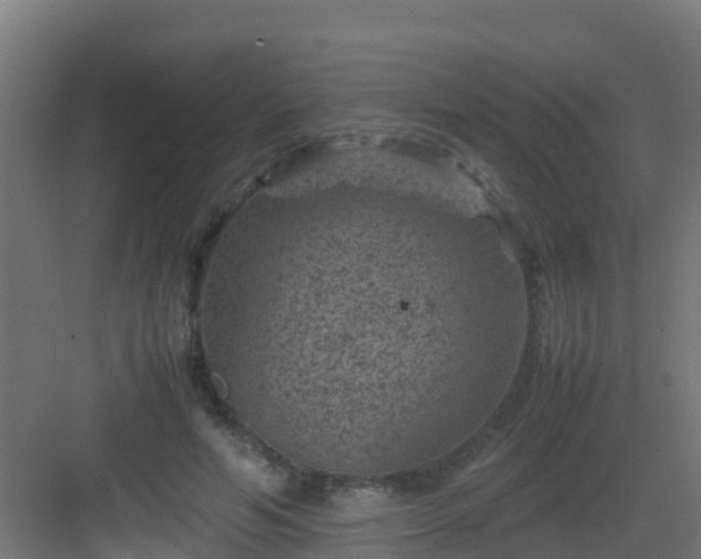 X0000082990594200702081836