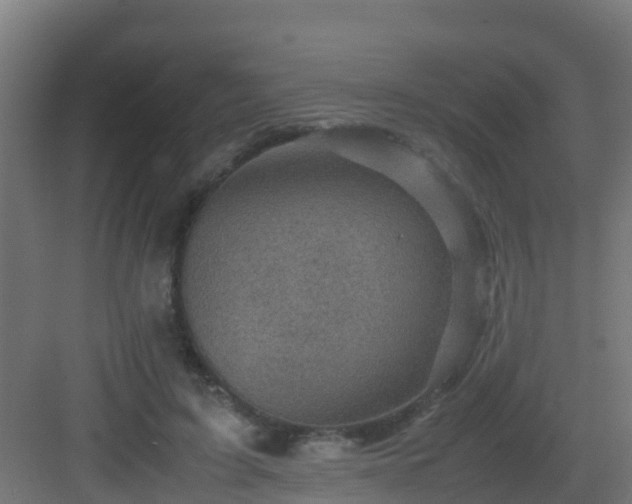 X0000082990595200702081836