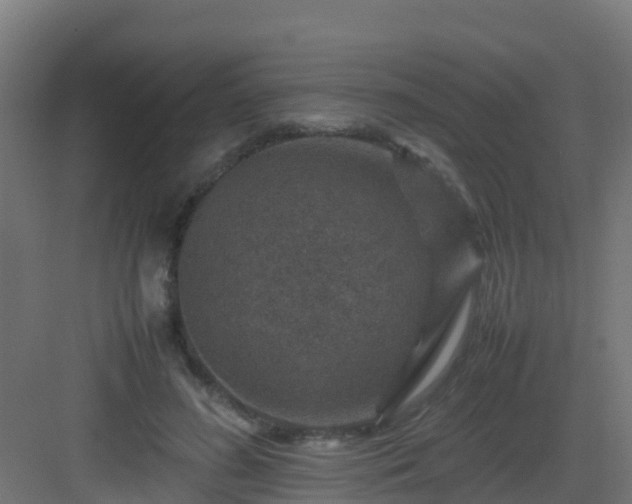 X0000082990596200702081836